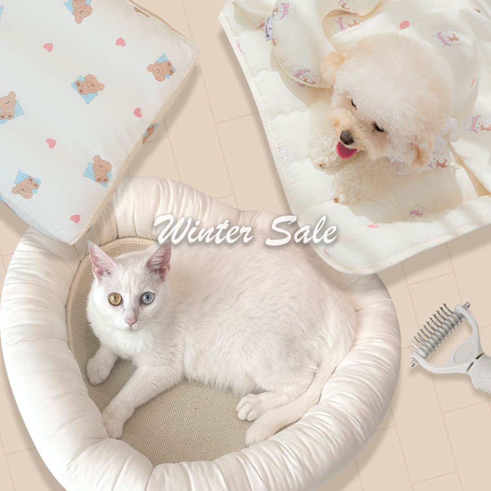 Photo by 반려동물 라이프스타일 브랜드 | 페리가토 Perrigato on November 30, 2025. May be an image of pet, baby bed, fur and text that says 'Winter Winter Sale'.