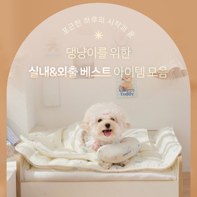 Photo by 반려동물 라이프스타일 브랜드 | 페리가토 Perrigato on November 17, 2025. May be an image of Maltese, baby bed, blanket and text that says '포근한하국의시작과 포근한 하루의 시작과 記 댕냥이를 위한 실내&외출베스트 베스트 아이템 템 모음 Cherry Teddy Jepar'.