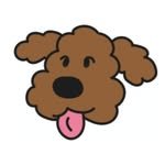 sweettail_team 프로필 사진