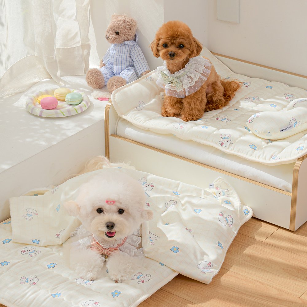 Photo by 반려동물 라이프스타일 브랜드 | 페리가토 Perrigato on September 02, 2025. May be an image of pet, baby bed and text.