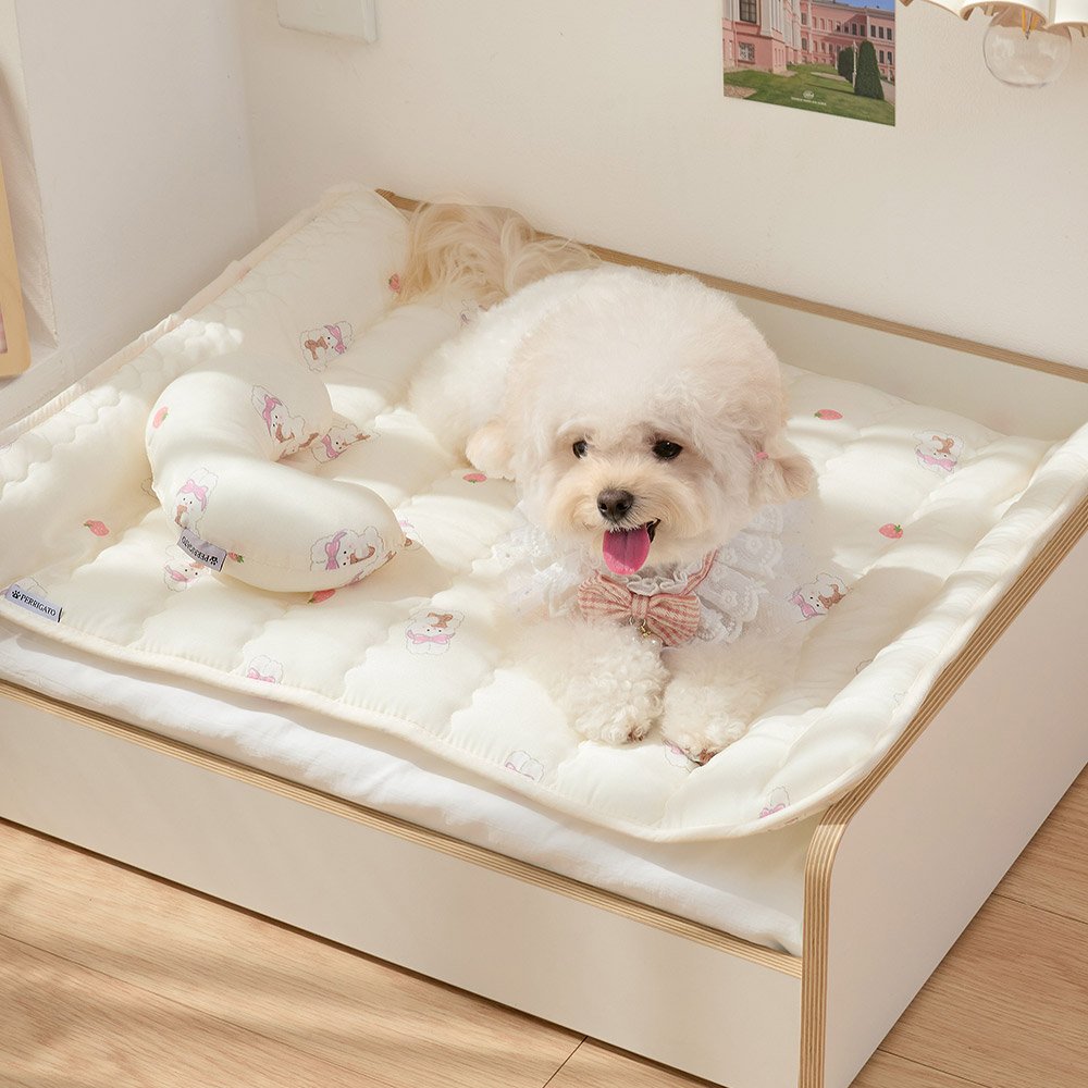 Photo by 반려동물 라이프스타일 브랜드 | 페리가토 Perrigato on September 14, 2025. May be an image of pet, baby bed, bed, mattress, bedroom and text.