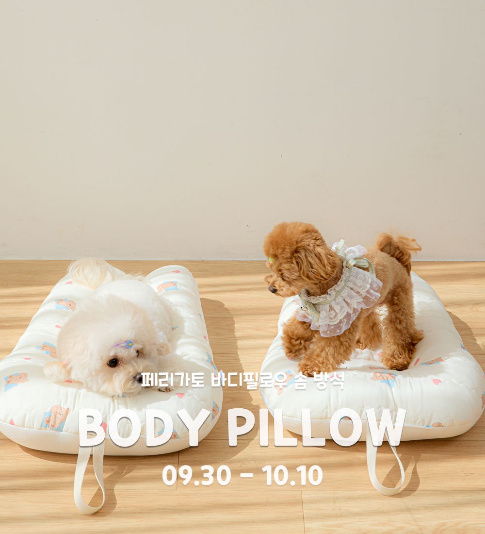 Photo by 반려동물 라이프스타일 브랜드 | 페리가토 Perrigato on September 29, 2025. May be an image of dog, beanbag chair and text that says '페리가토 바디필로우 슬 방역 BODY 09.30 09.30-10.10 Y'PILLOW PILLOW - 10.10'.