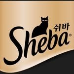 sheba_korea 프로필 사진