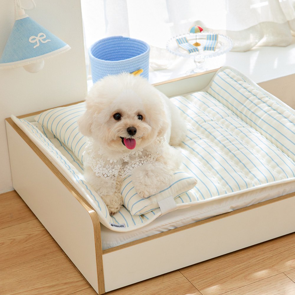 Photo by 반려동물 라이프스타일 브랜드 | 페리가토 Perrigato on April 19, 2026. May be an image of pet, baby bed, playpen and text.