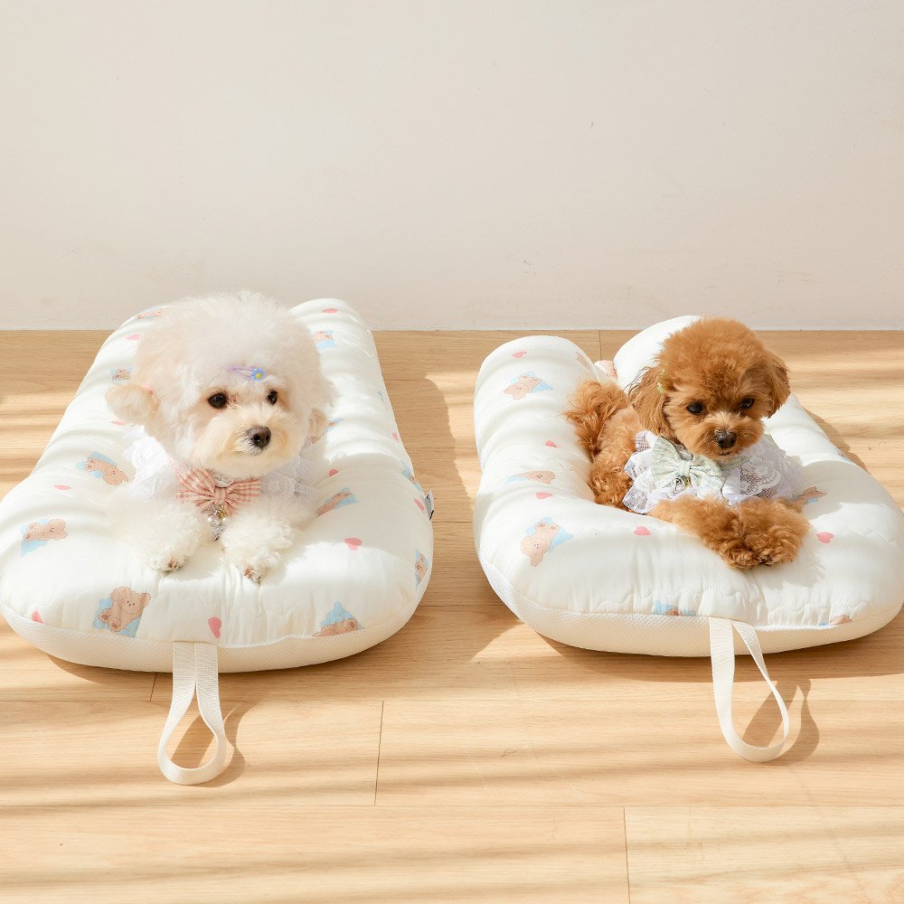 Photo by 반려동물 라이프스타일 브랜드 | 페리가토 Perrigato on September 14, 2025. May be an image of pet, baby bed, beanbag chair and text.