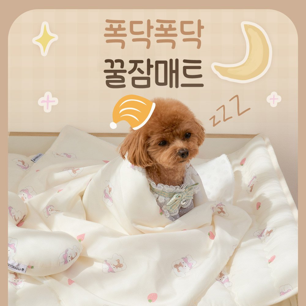 Photo by 반려동물 라이프스타일 브랜드 | 페리가토 Perrigato on February 01, 2026. May be an image of pet, baby bed and blanket.