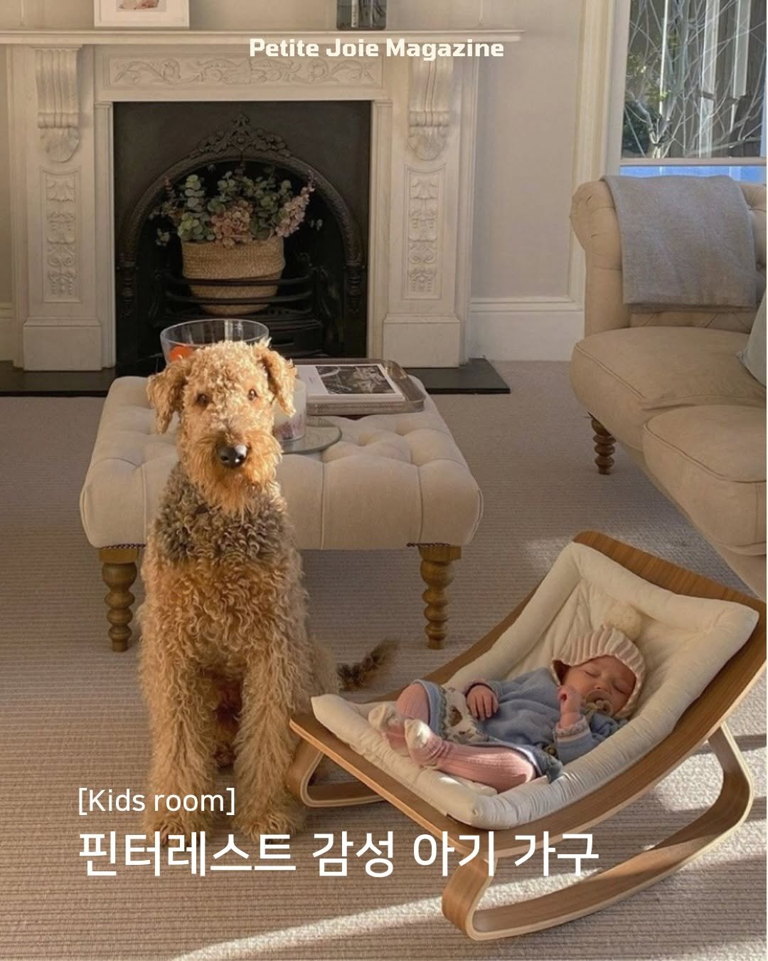 petitejoie.magazine 게시물 이미지: 해외 인테리어 계정을 구경하다 보면
신기한 점이 하나 있어요

제가 알던 알록달록...