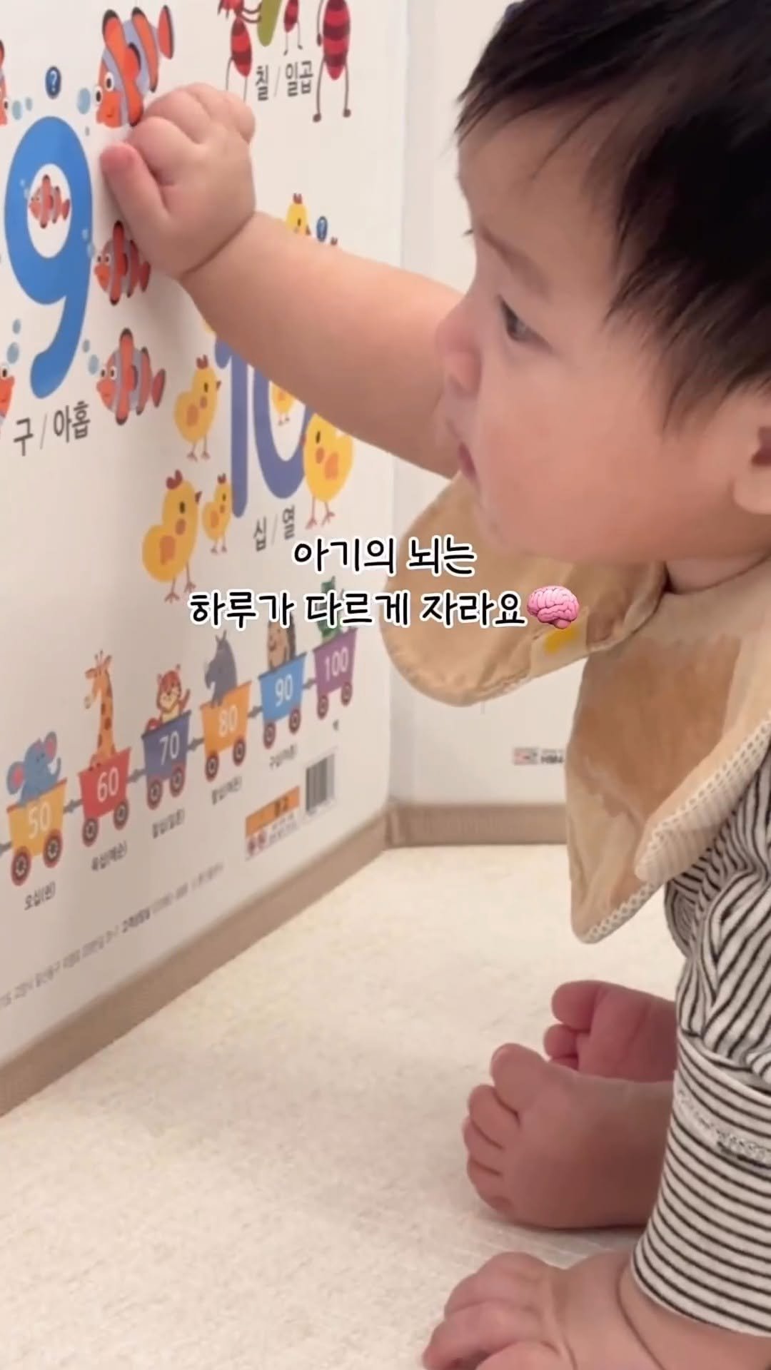 petitelin_official 게시물 이미지: 🧠 아기 두뇌발달의 핵심, 오메가3
생후 24개월까지는 두뇌 발달의 골든타임이라고...