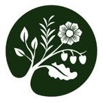 dyfiplants 프로필 사진