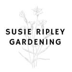 susieripleygardening_ 프로필 사진