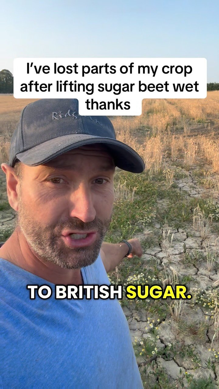 petitepeonys 게시물 이미지: I’ve lost parts of my crop after lifting sugar...