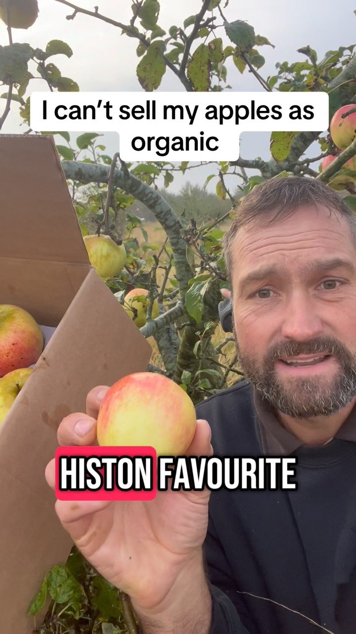 petitepeonys 게시물 이미지: I can’t sell my apples as organic