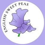 englishsweetpeas 프로필 사진
