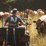 nempnettpastures 프로필 사진