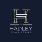hadleysporthorsesireland 프로필 사진