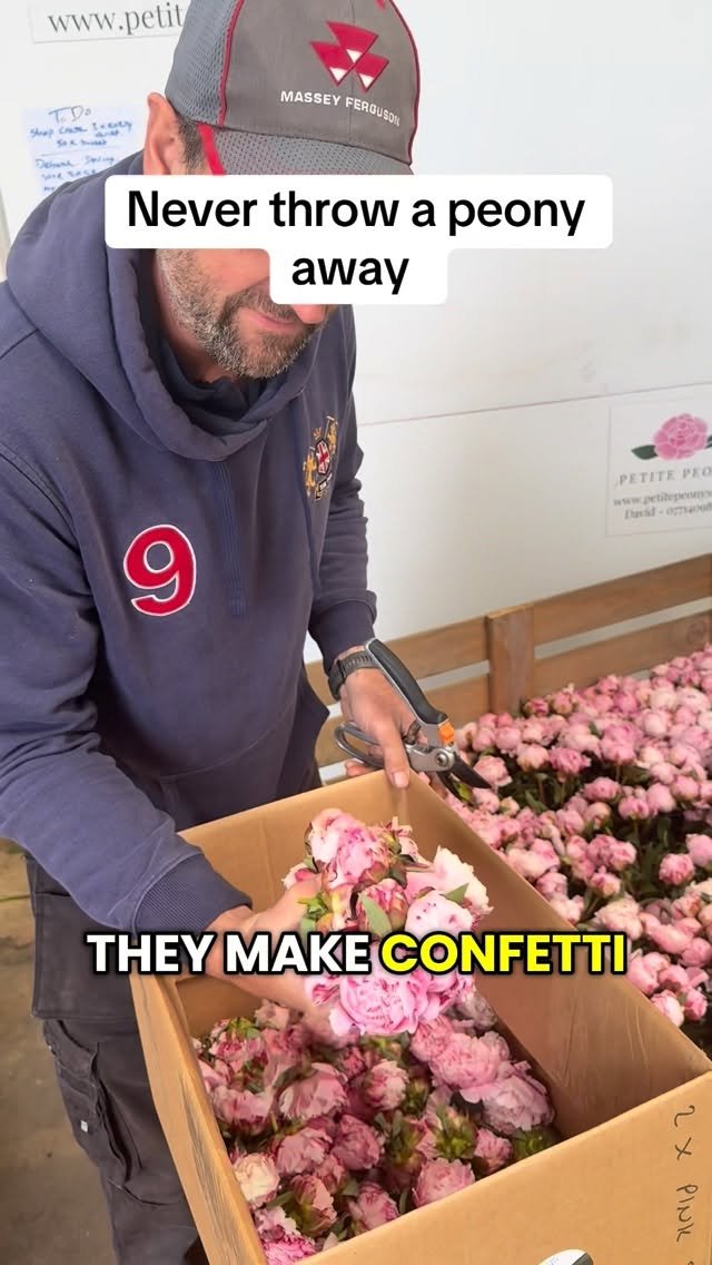 petitepeonys 게시물 이미지: Never throw a peony away