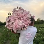 petitepeonys 인스타그램 프로필 사진