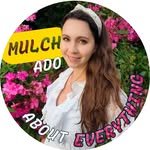 mulchadoabouteverything 프로필 사진