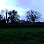 realseeds 프로필 사진