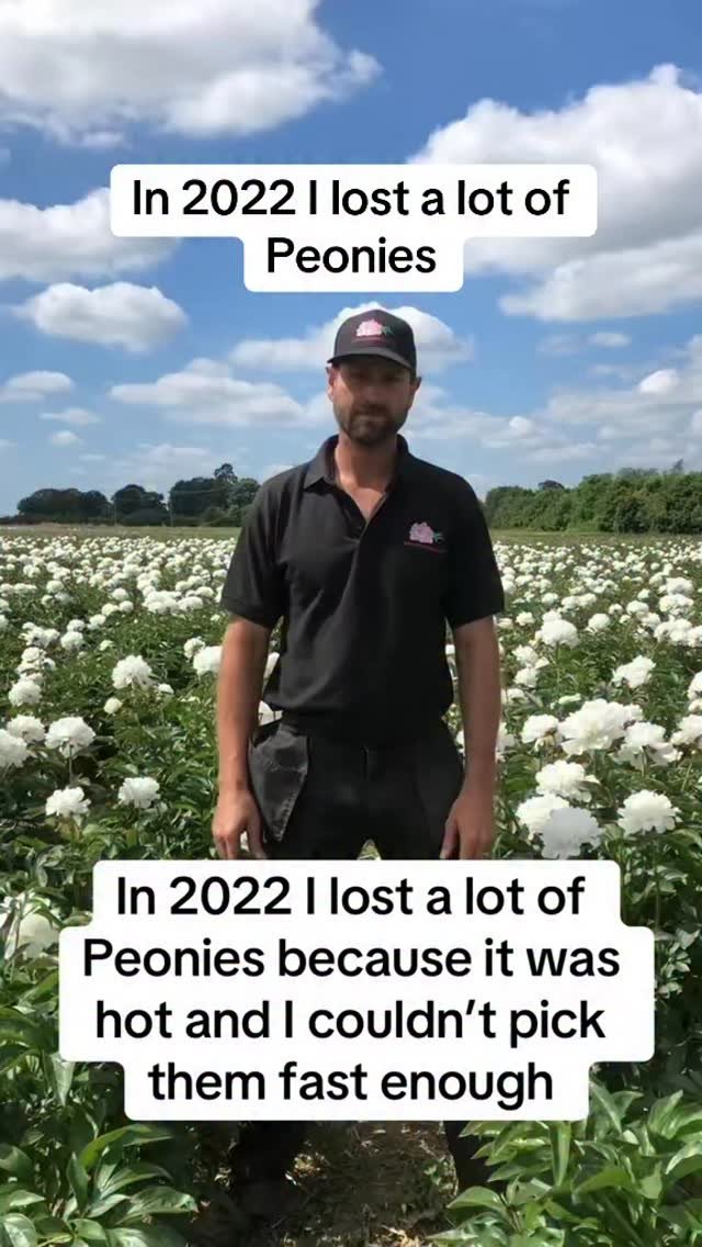 petitepeonys 게시물 이미지: In 2022 I lost a lot of Peonies