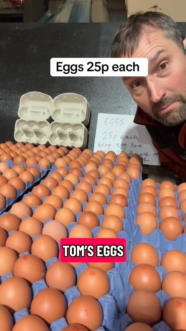 petitepeonys 게시물 이미지: Eggs 25 pence each from Tom from @station.farm