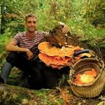 re_wilding_us 프로필 사진