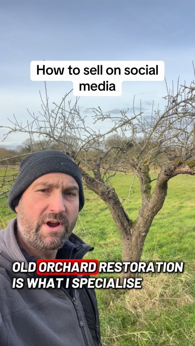 petitepeonys 게시물 이미지: How to sell on social media