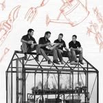 rhinogreenhouses 프로필 사진