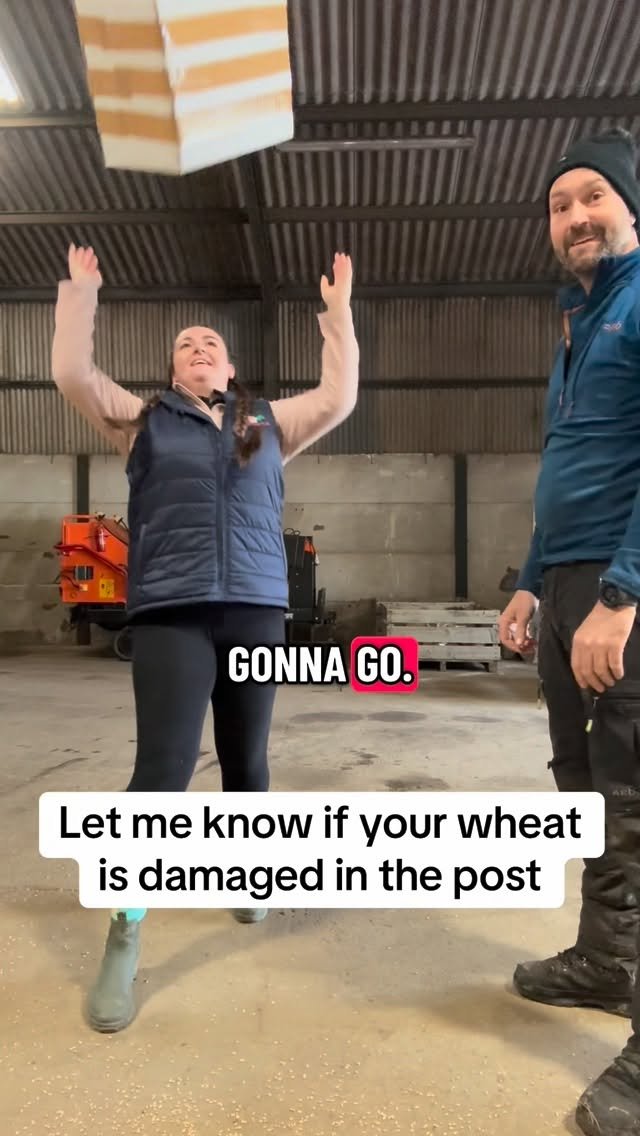 petitepeonys 게시물 이미지: Let me know if your wheat is damaged in the post