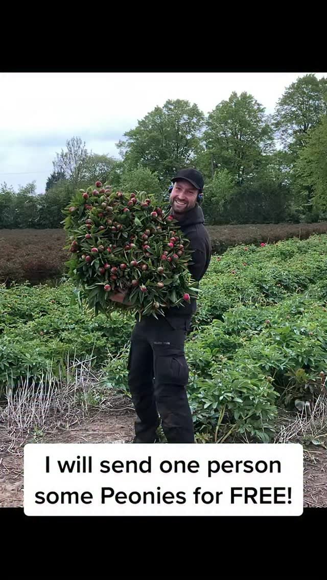 petitepeonys 게시물 이미지: Competition time. Beware of scams asking for...