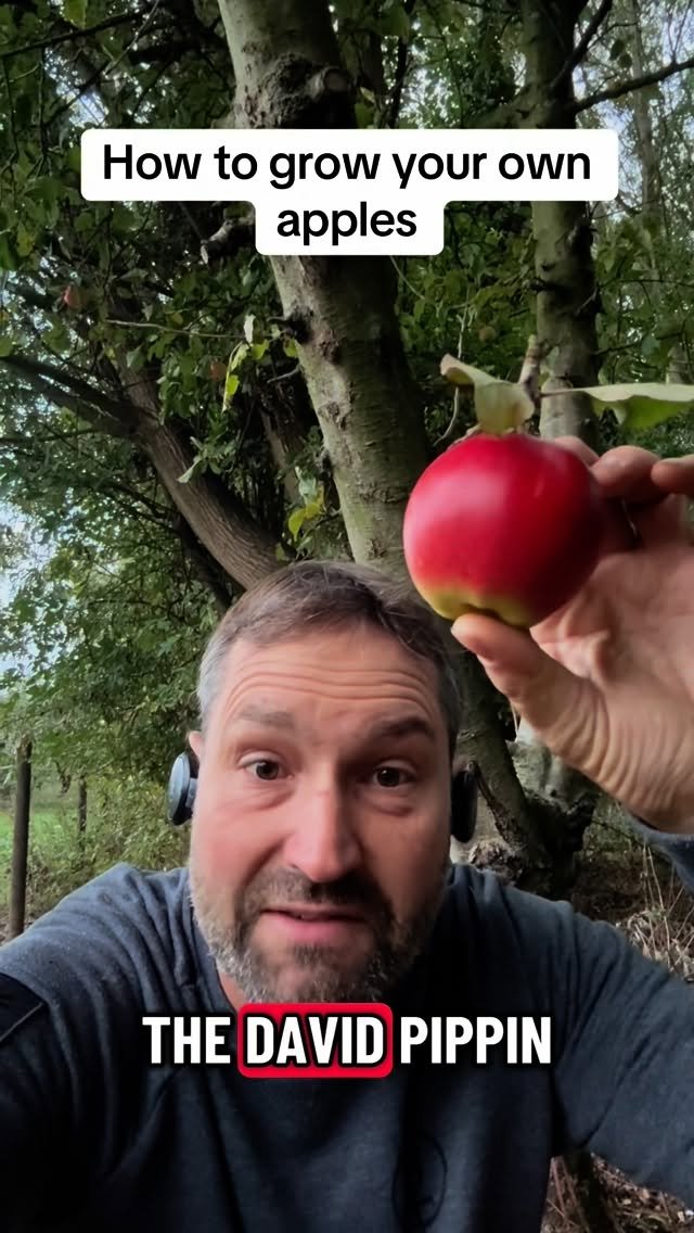 petitepeonys 게시물 이미지: How to grow your own apples