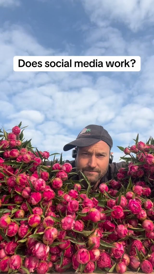 petitepeonys 게시물 이미지: Does social media work?