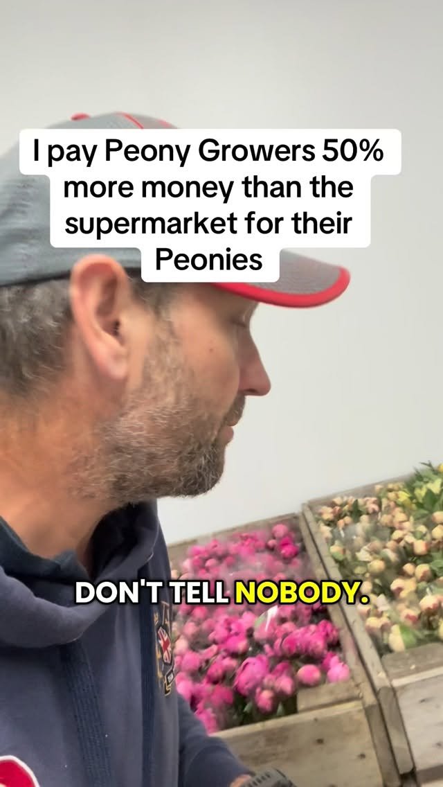 petitepeonys 게시물 이미지: I pay Peony Growers 50% more money than the...