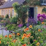 askelycottagehave 프로필 사진