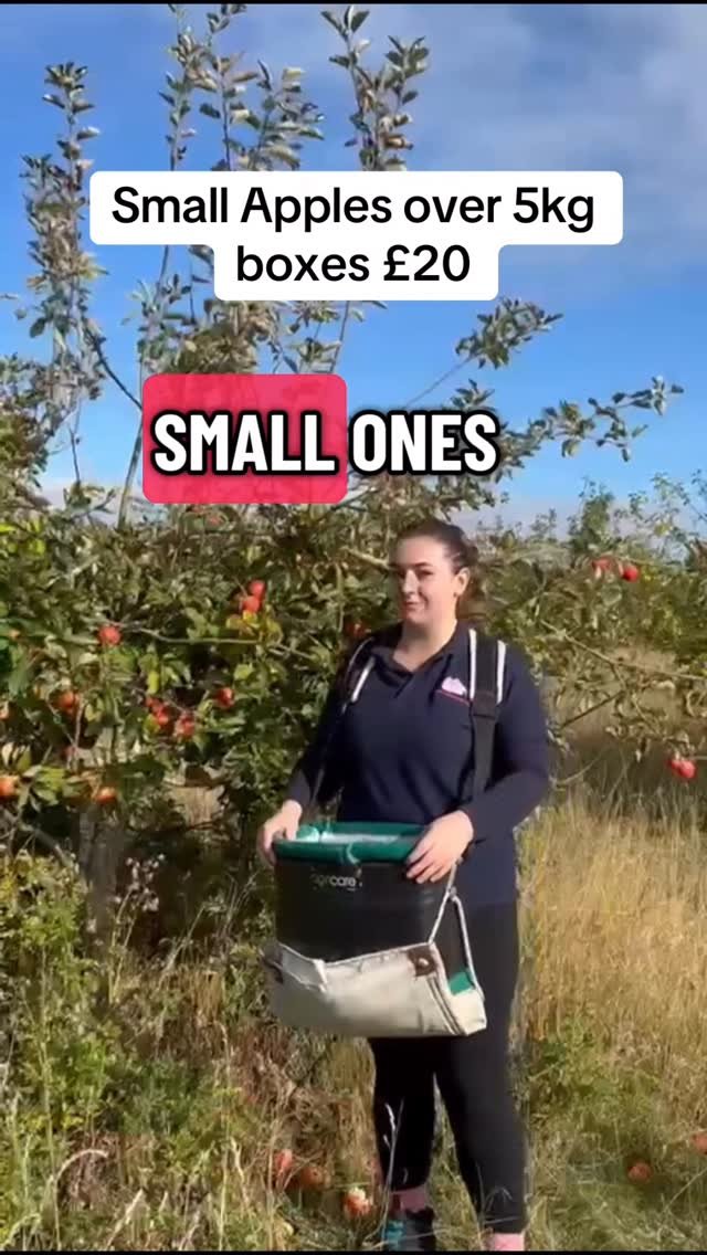 petitepeonys 게시물 이미지: Small apples over 5kg boxes £20 delivered...