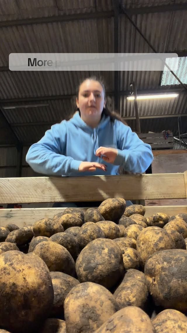 petitepeonys 게시물 이미지: Potatoes are nearly gone today, but there will...