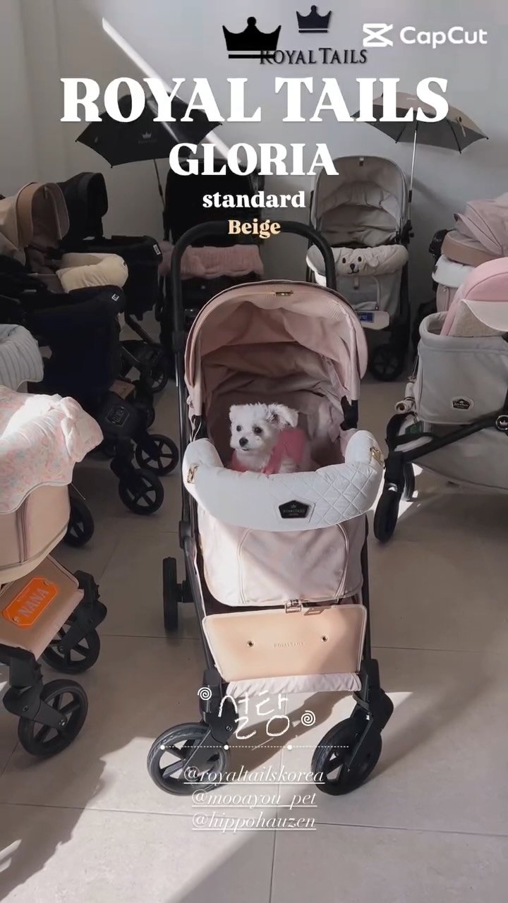 petmax_official 게시물 이미지: 펫막스의 주말이야기

#강아지유모차 #펫막스