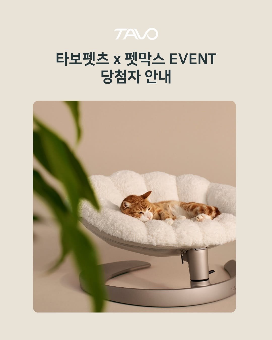 Photo shared by 펫막스 | 강아지유모차 | 개모차 on November 04, 2025 tagging @tavopets, and @aonepet_tavokorea. May be an image of baby bed and text that says 'TAVO 타보펫츠 x 펫막스 EVENT 당첨자 안내'.