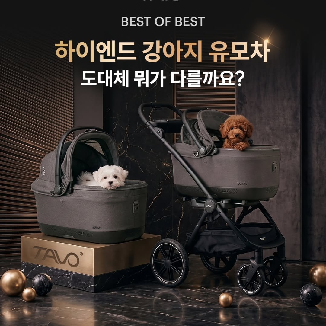petmax_official 게시물 이미지: 하이앤드 강아지 유모차 뭐가 다를까요??

첫번째 아이소픽스로 차량에서...