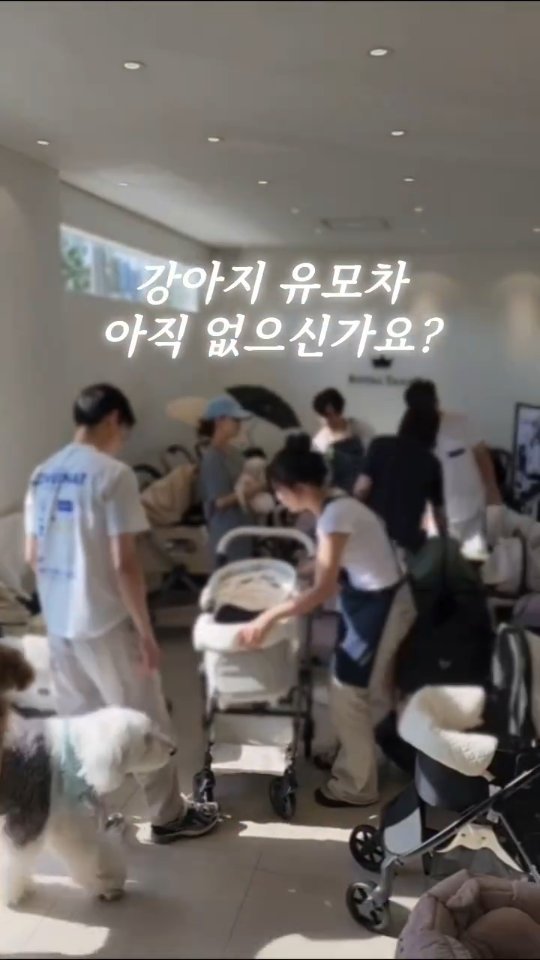 petmax_official 게시물 이미지: 1만마리 강아지들이 선택한 펫막스

❤️메가급 특가세일❤️

5월 29일~6월...