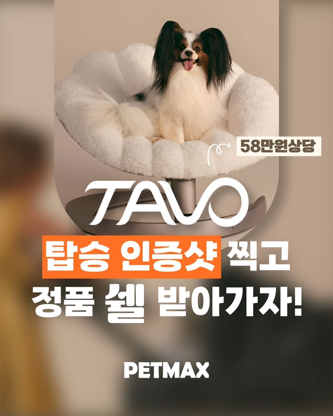 Photo by 펫막스 | 강아지유모차 | 개모차 on October 22, 2025. May be an image of Pekinese and text that says '58만원상당 ΤΑν 탑승 인증샷 찍고 정품 셀 받아가자! PETMAX'.