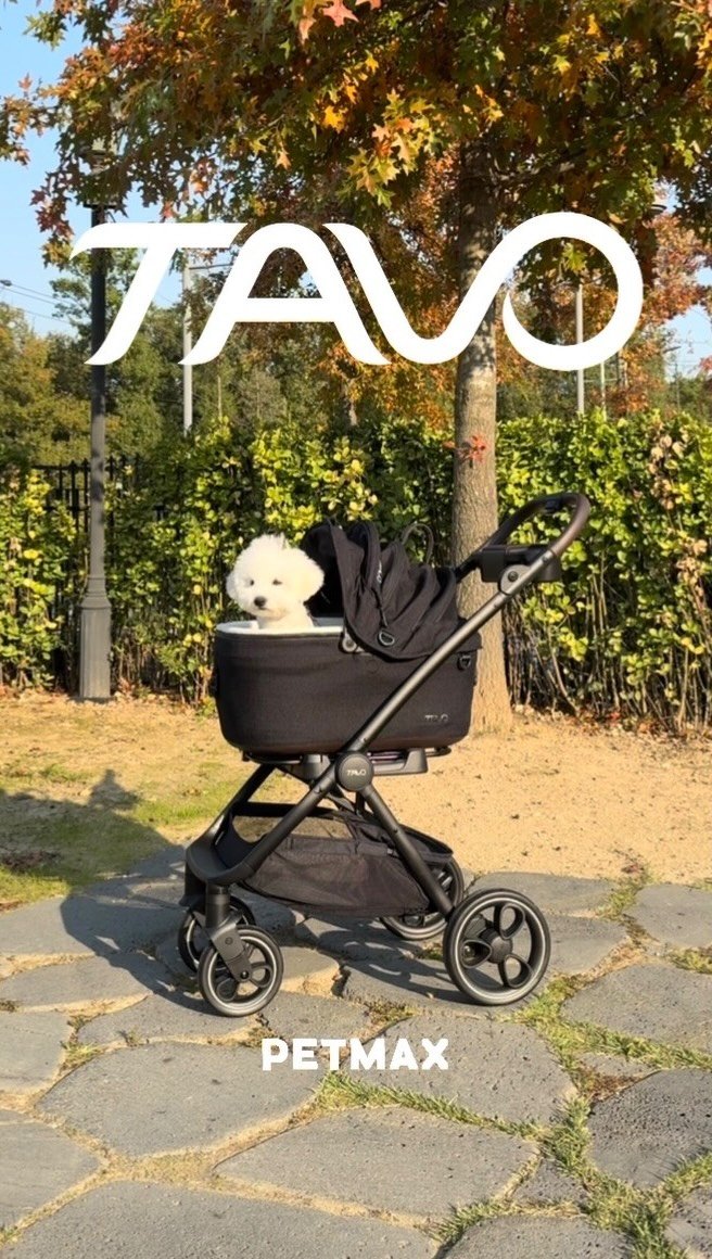 petmax_official 게시물 이미지: 고급스러움에 정석 '타보펫츠'

여태까지 느껴본 적 없는 핸들링
여기에...