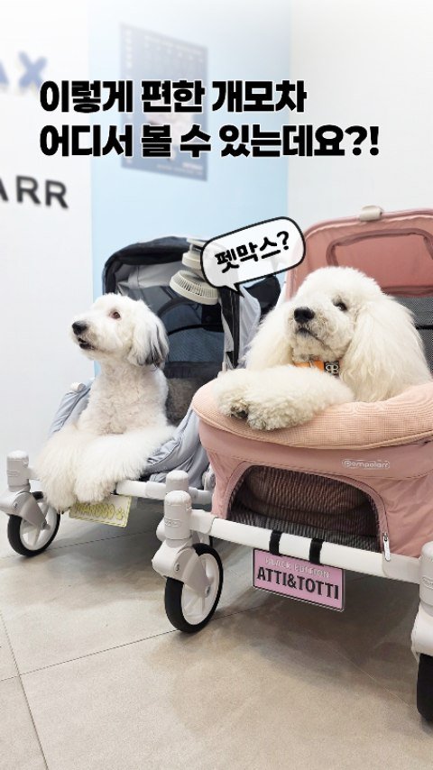 petmax_official 게시물 이미지: 우리 댕댕이 퍼스널 컬러에 맞는
강아지 유모차 찾고 계신가요? 🐶

폼포라펫 웨건의...