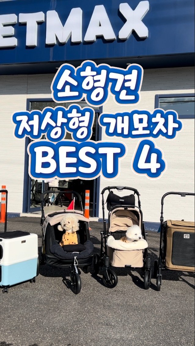 petmax_official 게시물 이미지: 소형견 저상형 개모차 BEST 4‼️

댓글에 ‘저상형’ 남겨주시면...