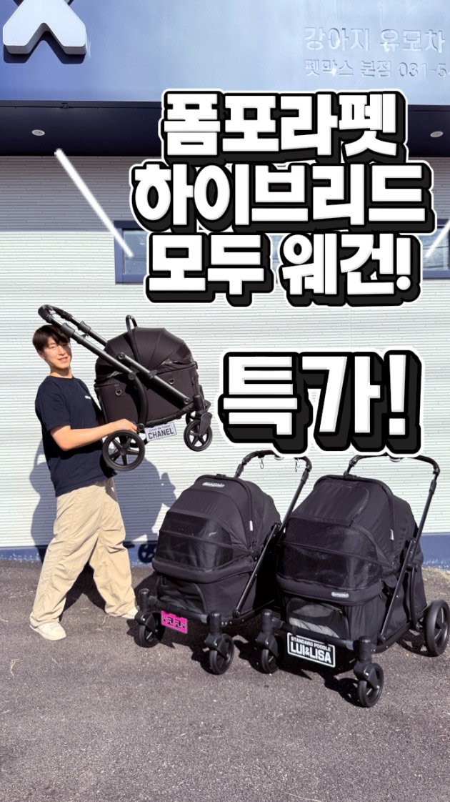 petmax_official 게시물 이미지: 폼포라펫 소형 하이브리드 웨건 ’모두‘❗

폼포라펫 모두 [최저가&혜택]이...