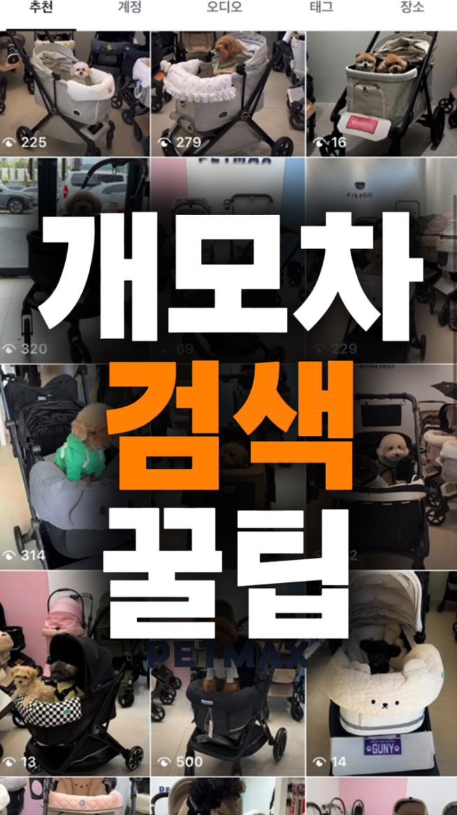 petmax_official 게시물 이미지: 강아지 유모차 검색 꿀팁‼️

같은 견종인 친구들이 어떤 개모차를 타는 지 한 눈에...