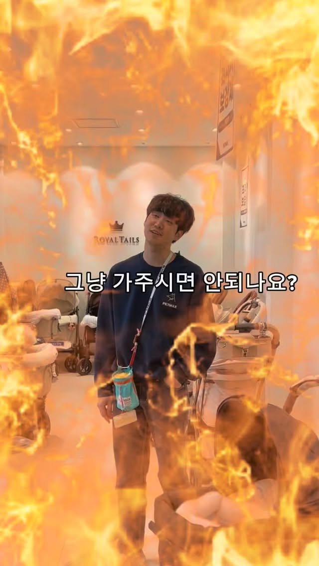 petmax_official 게시물 이미지: 제가 할게요... 제발...그러게 해줘요
#릴스맛집 #펫막스 #개모차 #강아지유모차