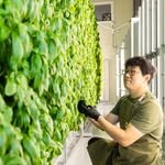 pyodaddyfarm 프로필 사진