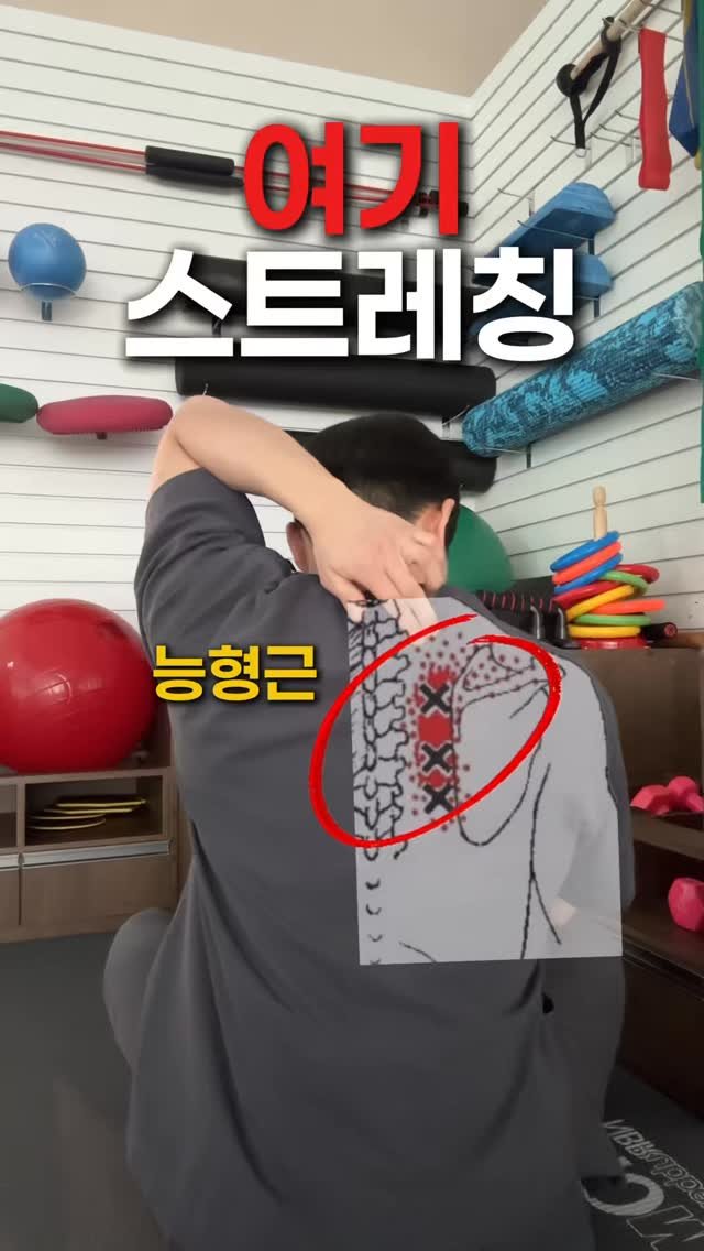 physio__roy 게시물 이미지: 전거근 운동 전 필수 스트레칭 

능형근 스트레칭은 정말 다양한데요. 

그중에서...