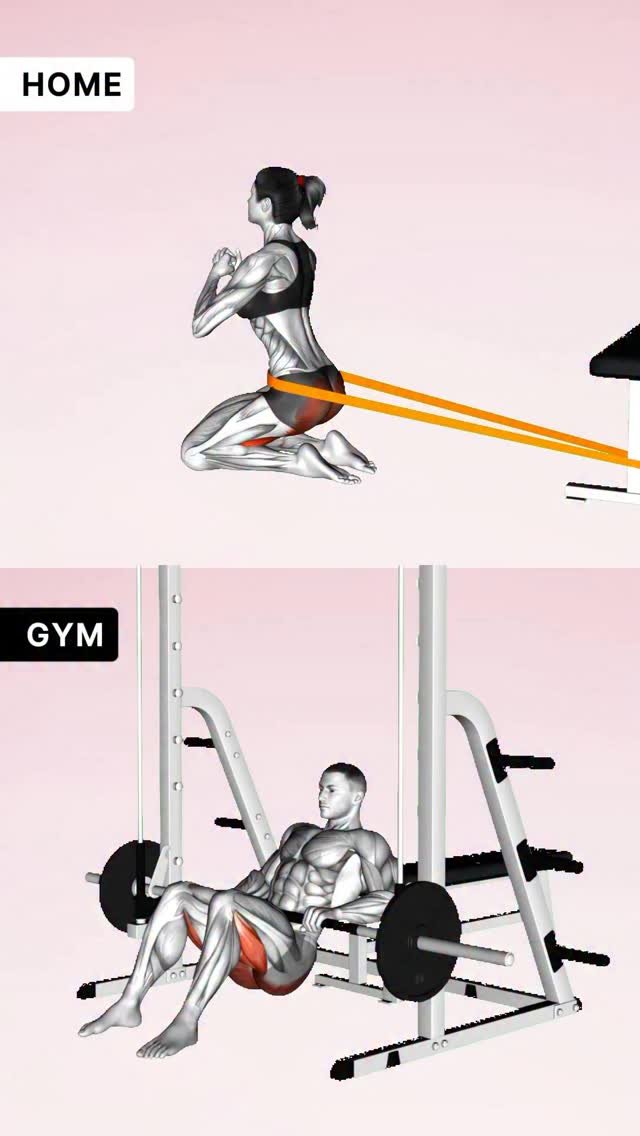physio_tip 게시물 이미지: Leg Day - Home vs Gym💪🏡 Save for later✔️
app:...